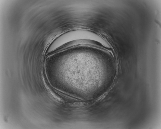 X0000101960049200808011117