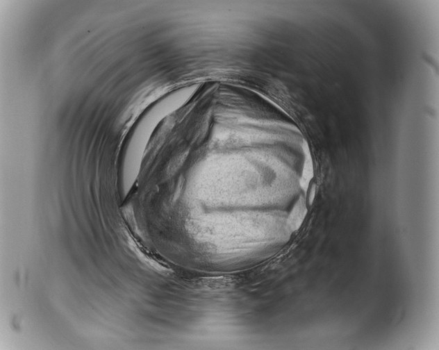 X0000101960050200808011117