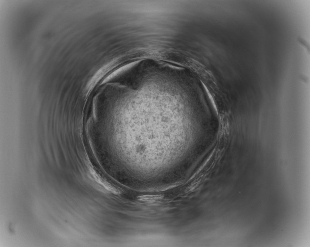 X0000101960051200808011117