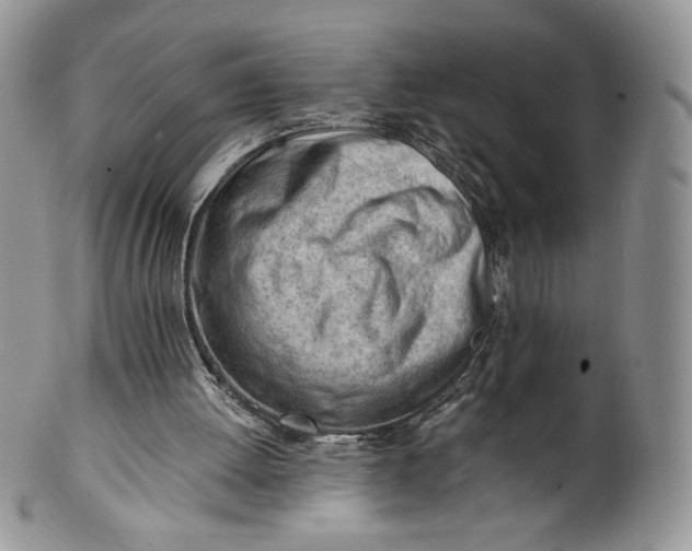 X0000101960052200808011117