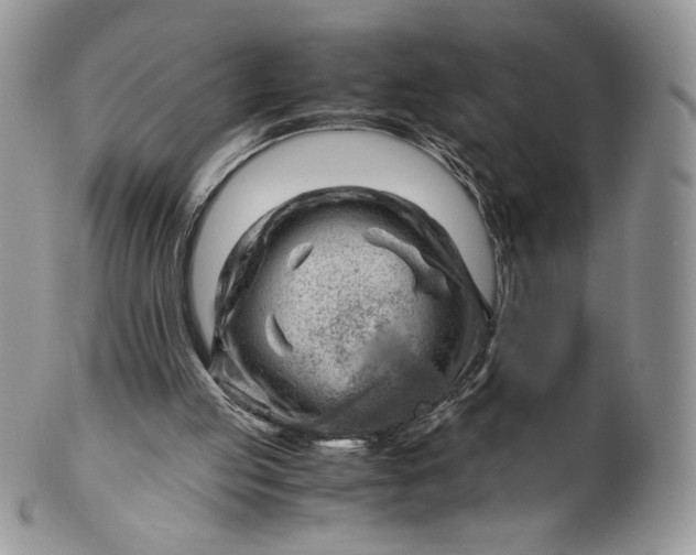 X0000101960053200808011117