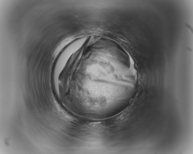 X0000101960054200808011117