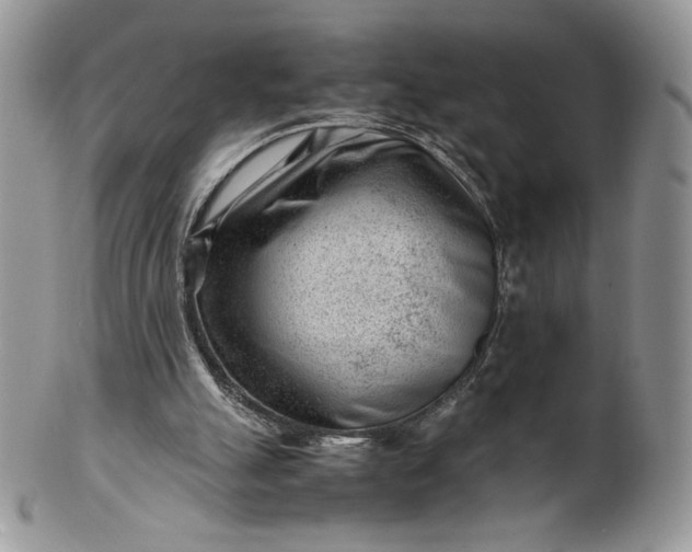 X0000101960055200808011117