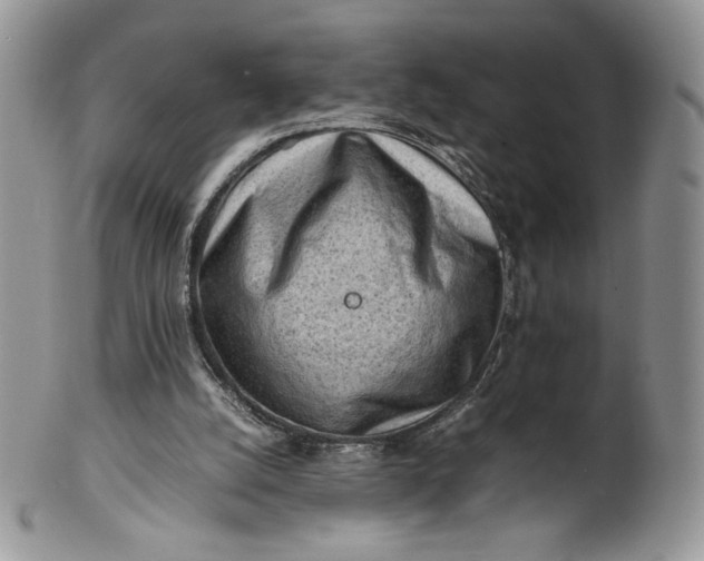 X0000101960056200808011117