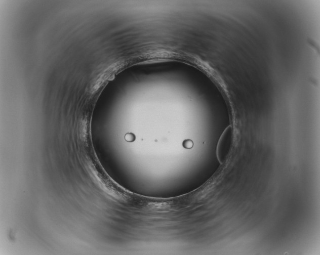 X0000101960057200808011117