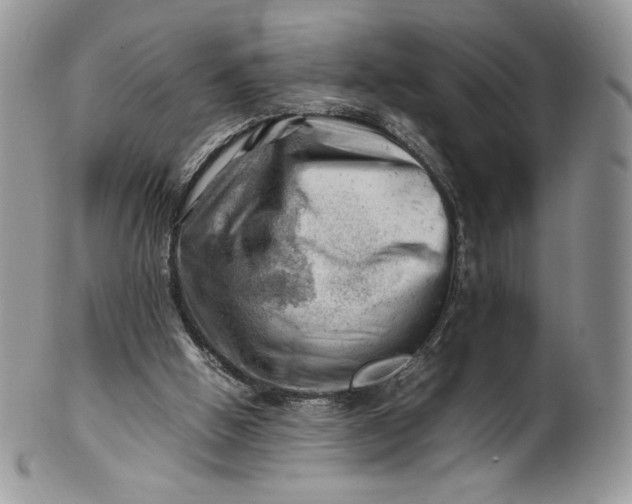 X0000101960058200808011117