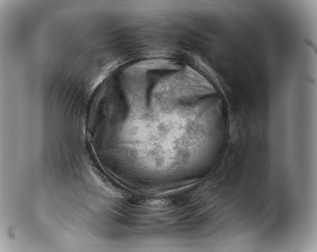 X0000101960059200808011117