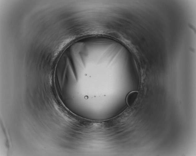 X0000101960060200808011117