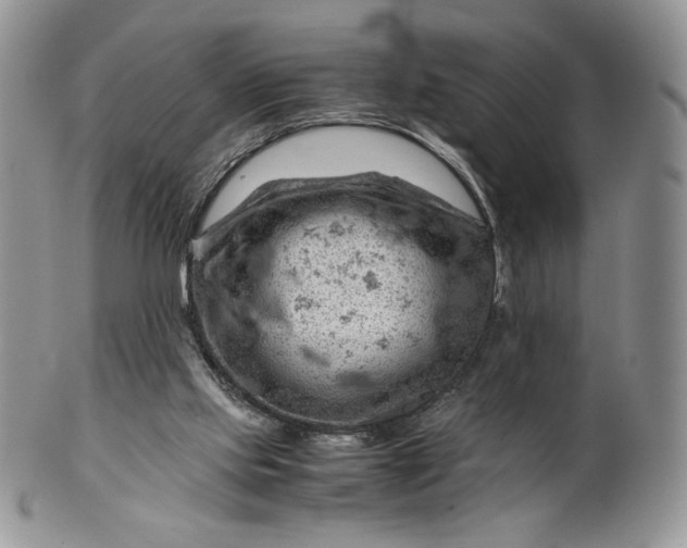 X0000101960061200808011117