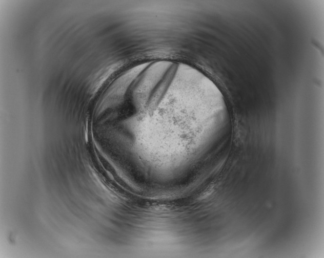 X0000101960062200808011117