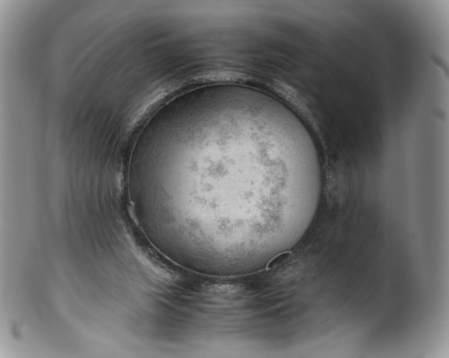 X0000101960063200808011117