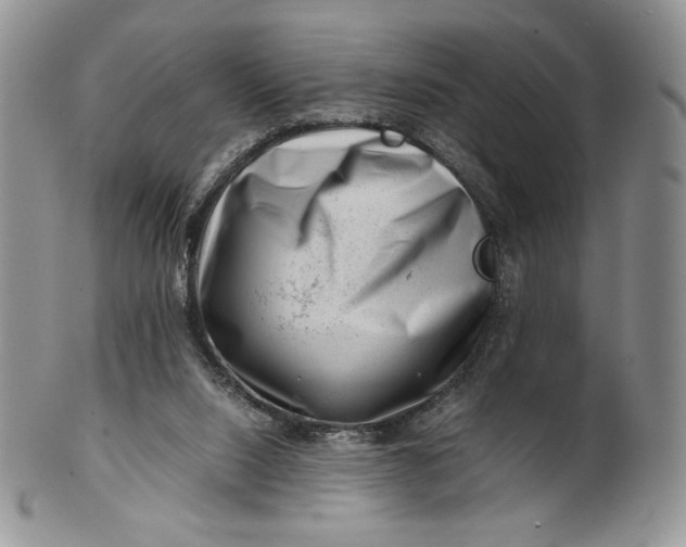 X0000101960064200808011117