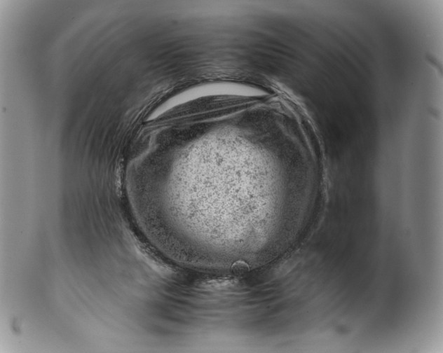 X0000101960065200808011117