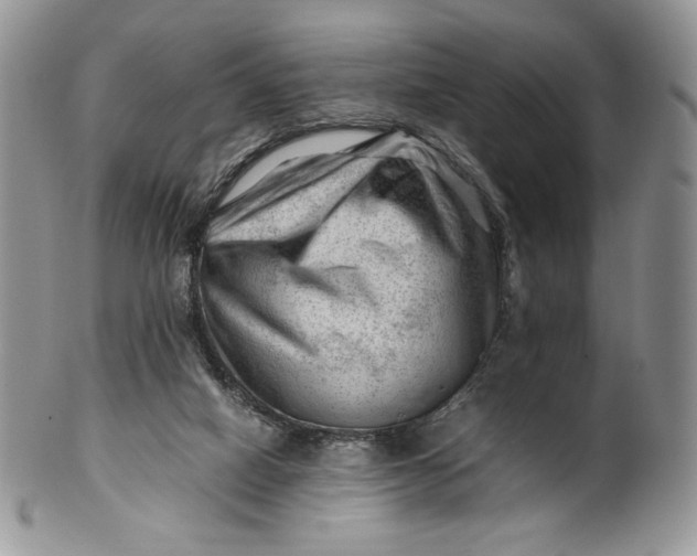 X0000101960066200808011117