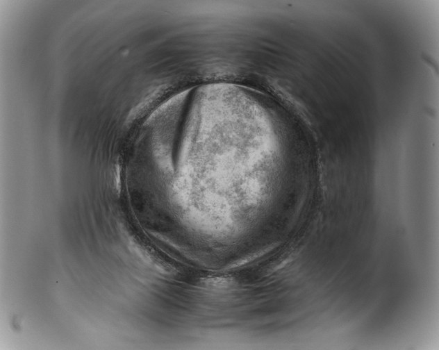 X0000101960067200808011117