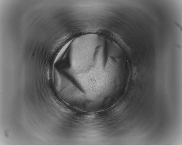 X0000101960068200808011117