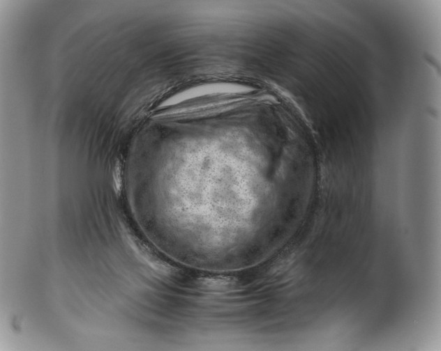 X0000101960069200808011117