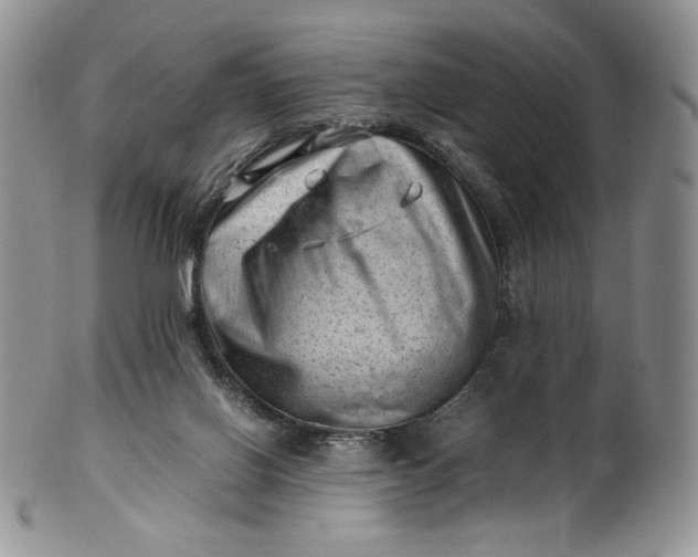 X0000101960070200808011117