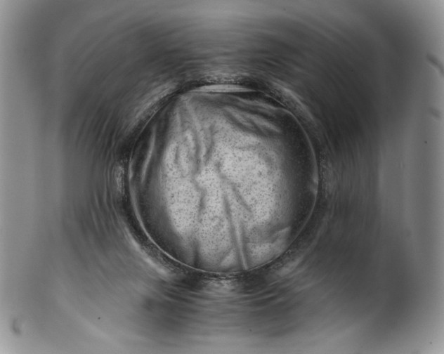 X0000101960071200808011117