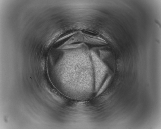 X0000101960072200808011117