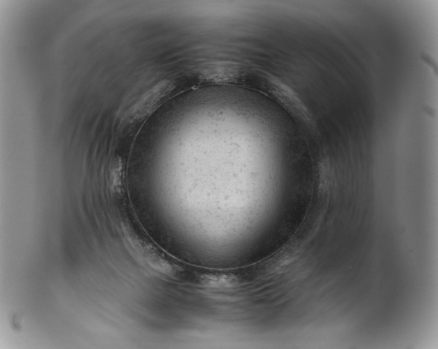 X0000101960073200808011117