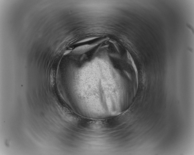 X0000101960074200808011117