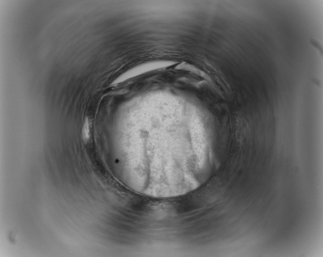 X0000101960075200808011117