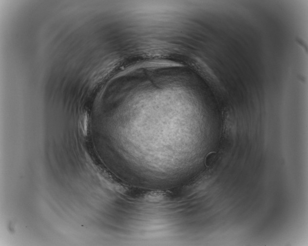 X0000101960076200808011117