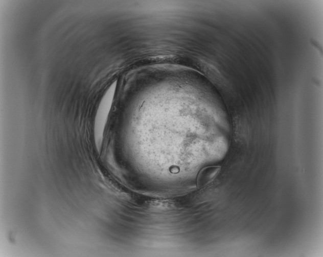 X0000101960077200808011117