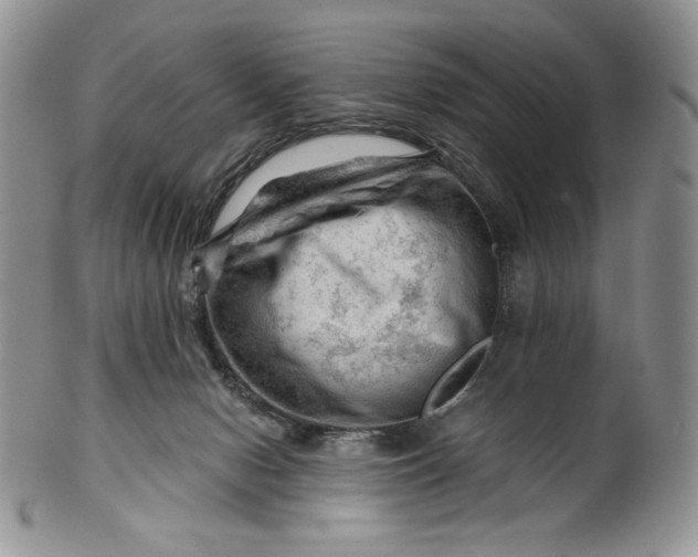 X0000101960078200808011117