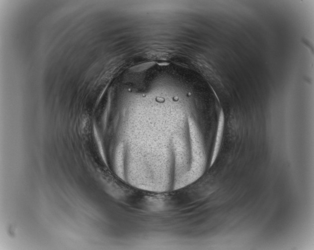 X0000101960079200808011117