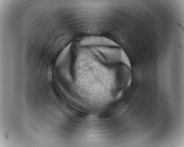 X0000101960080200808011117