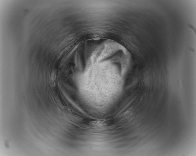 X0000101960082200808011117