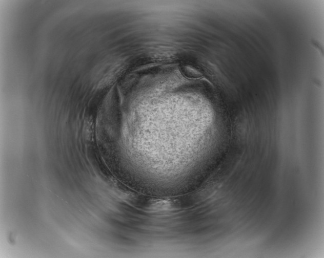 X0000101960083200808011117