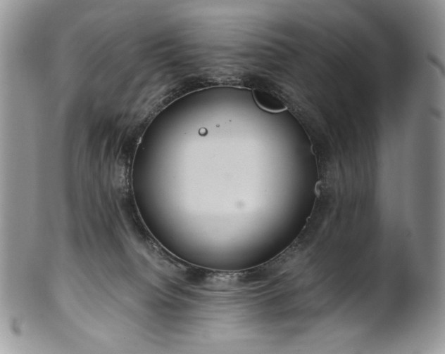 X0000101960084200808011117