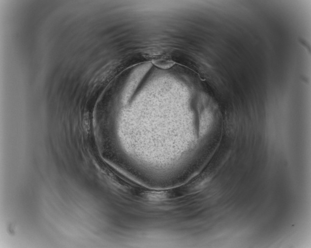 X0000101960085200808011117