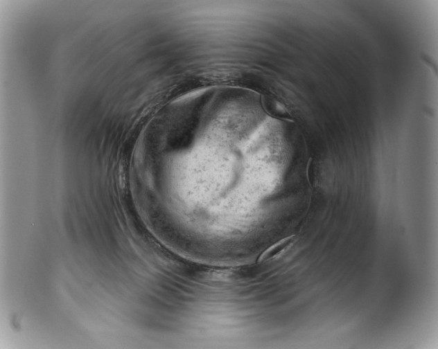 X0000101960086200808011117