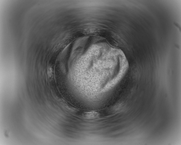 X0000101960087200808011117