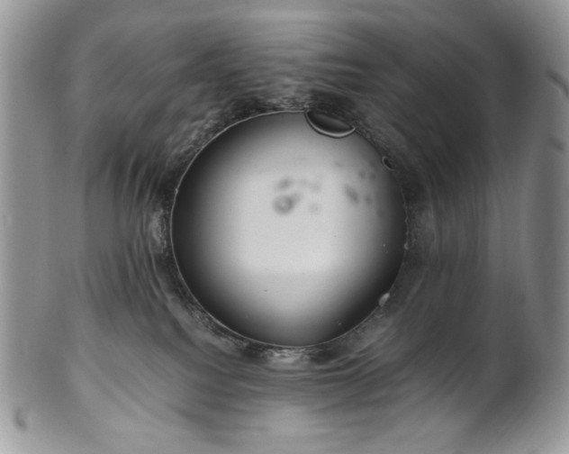 X0000101960088200808011117