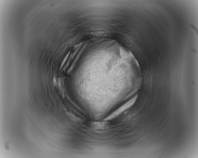 X0000101960089200808011117