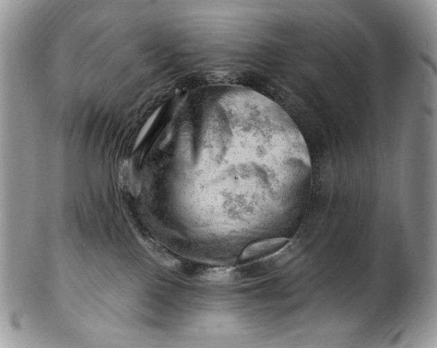 X0000101960090200808011117