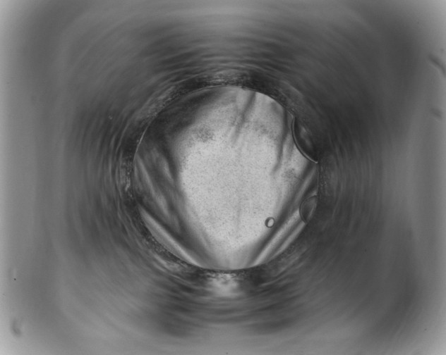 X0000101960091200808011117