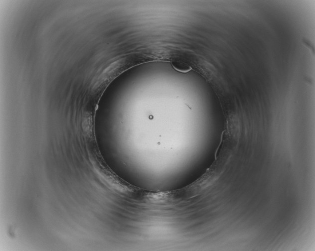 X0000101960092200808011117