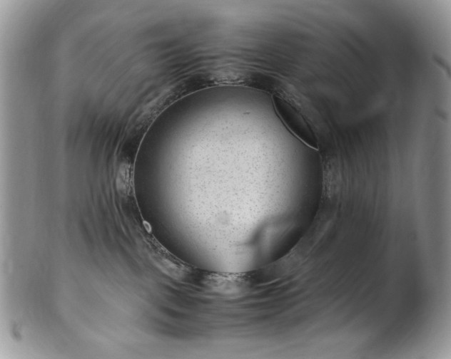 X0000101960093200808011117