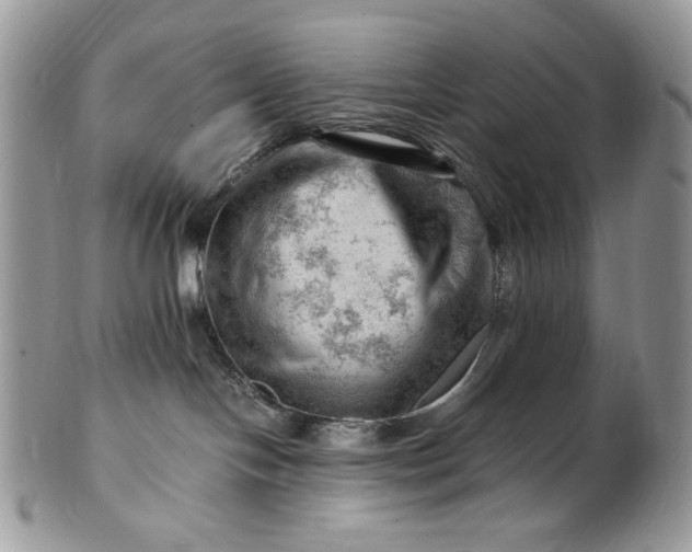 X0000101960094200808011117