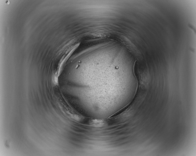 X0000101960095200808011117