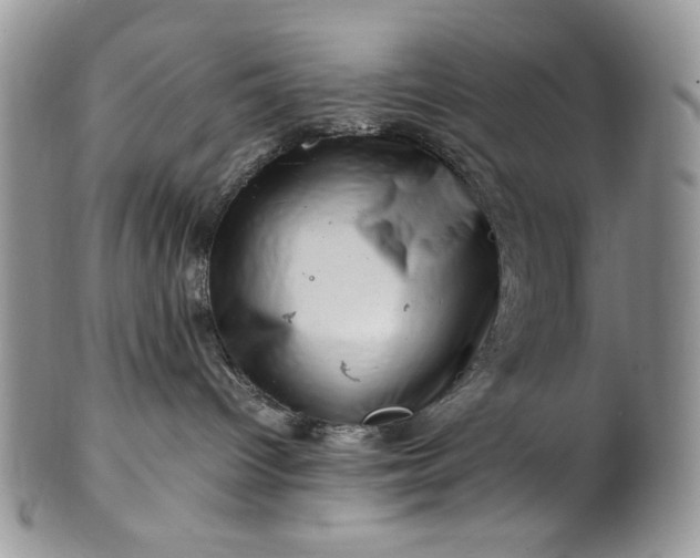 X0000101960096200808011117