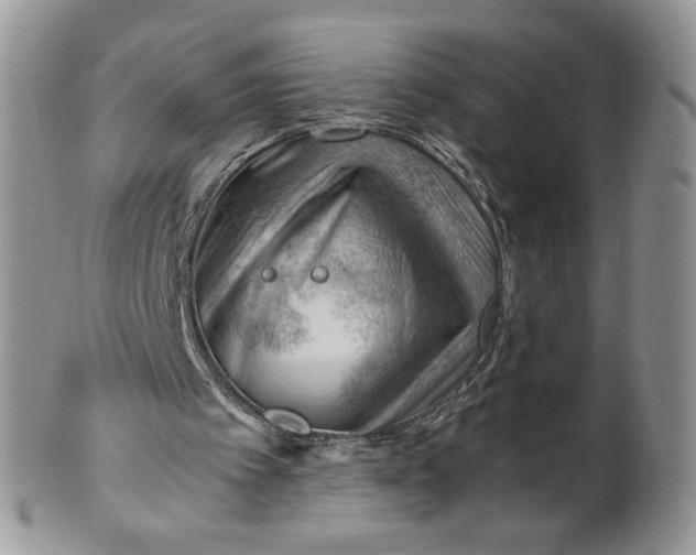 X0000101960097200808011117