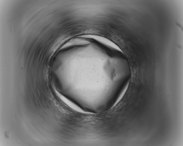 X0000101960098200808011117