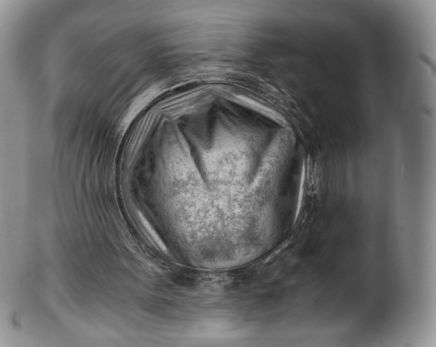 X0000101960099200808011117